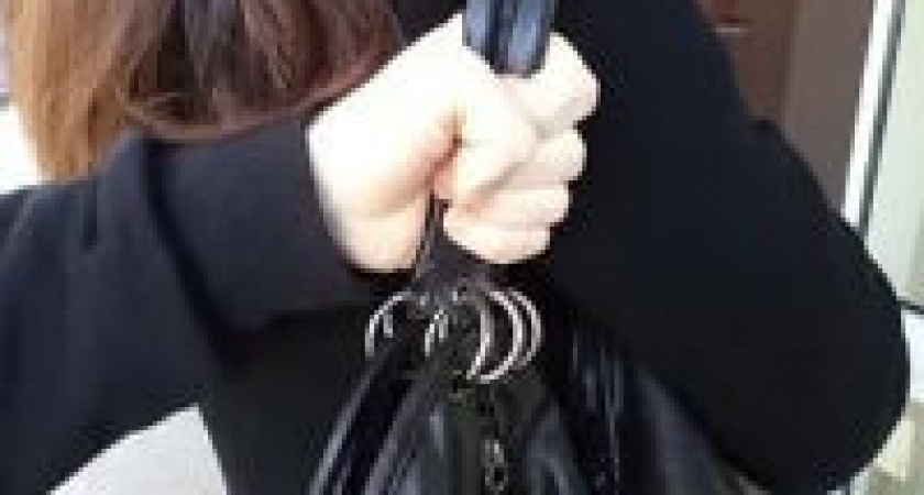 На юге Волгограда 16-летний школьник похитил у  женщины сумку