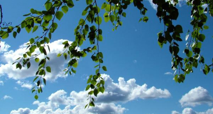 Евдокия Свистунья