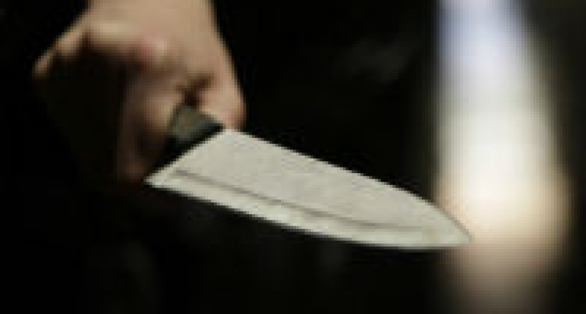 Житель области едва не зарезал своего гостя