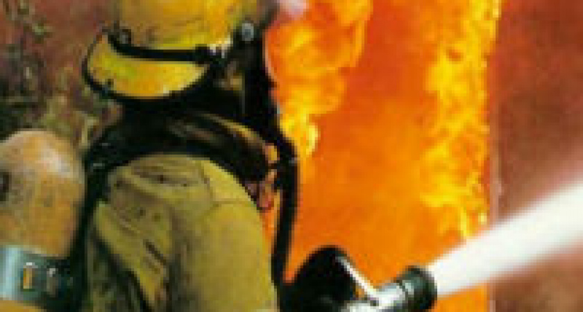 На севере Волгограда из-за короткого замыкания сгорела иномарка