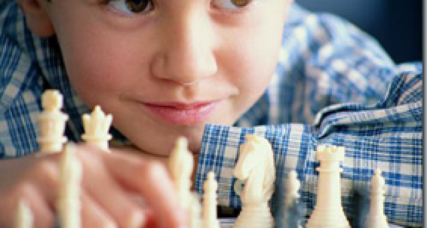 В Волгограде открылся сезон летних шахматных турниров