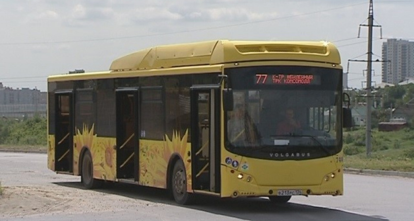 В Волгограде расширяют сеть муниципальных автобусных маршрутов