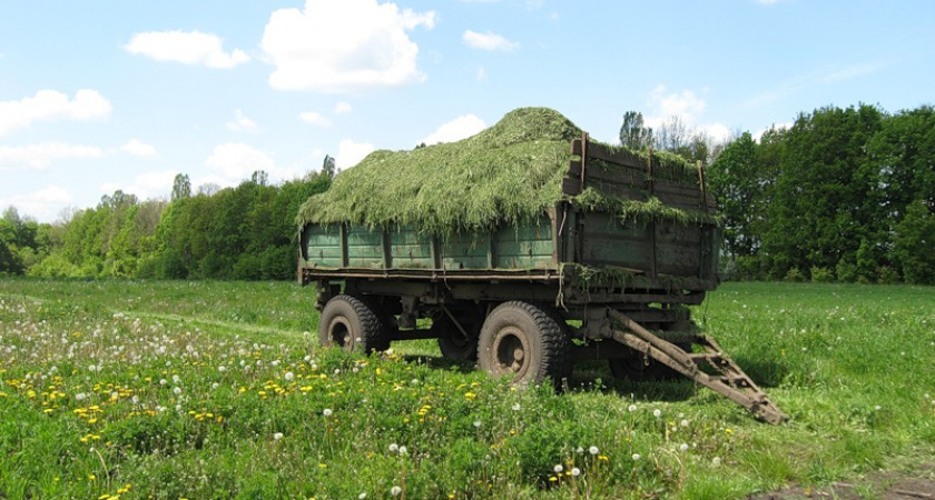 В Волгоградской области начался сенокос