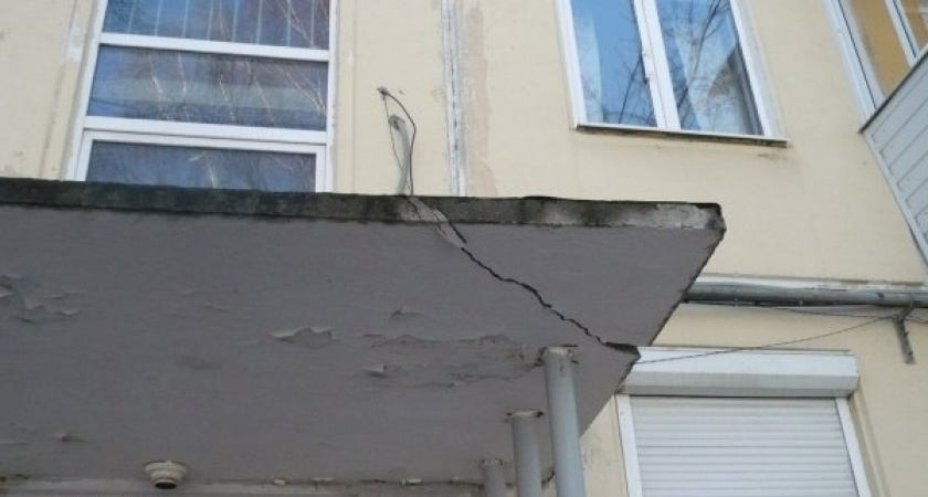 В Волгограде спасатели спустили собаку с козырька подъезда на землю