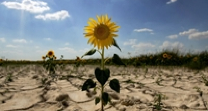 Всемирный день борьбы с опустыниванием и засухой 