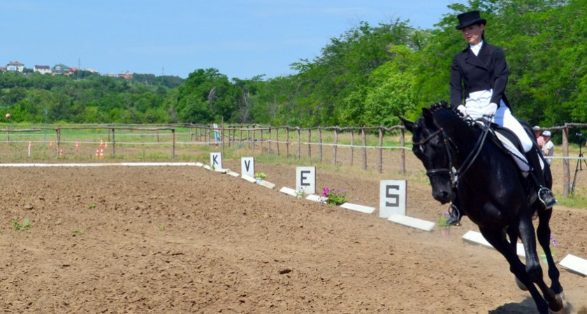 Волгоградцы сделали «ход конем»