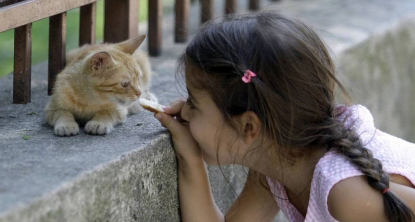 Под Волгоградом будут судить нерадивую мать 7-летней девочки 