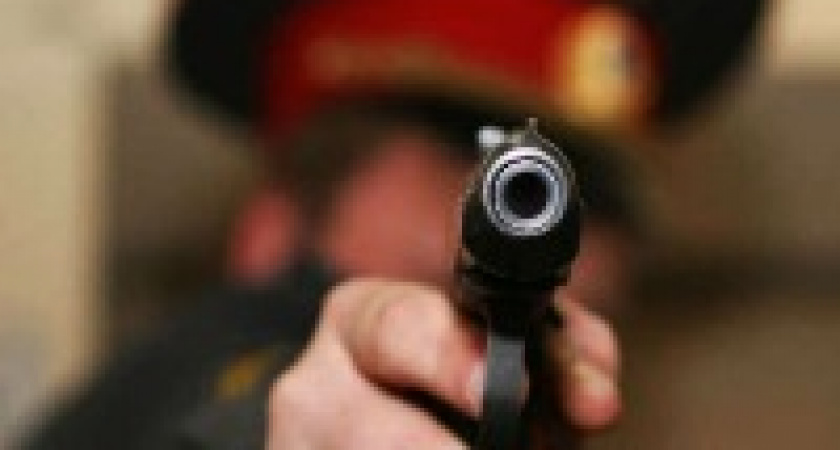 Под Волгоградом хулигана с топором усмирил  полицейский с табельным оружием 