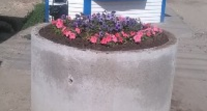 На улицах Волгограда появятся клумбы против автохамов