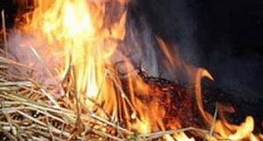 Под Волгоградом неизвестные спалили хозпостройку с  двумя  тоннами сена