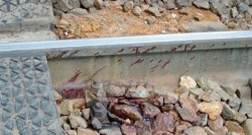 Под Волгоградом нашли убийц 32-летнего мужчины