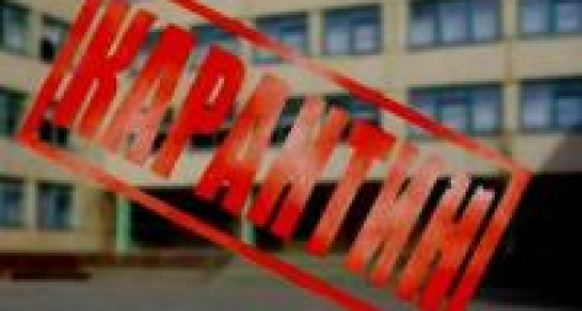 На юге Волгограда установили карантин по бешенству 