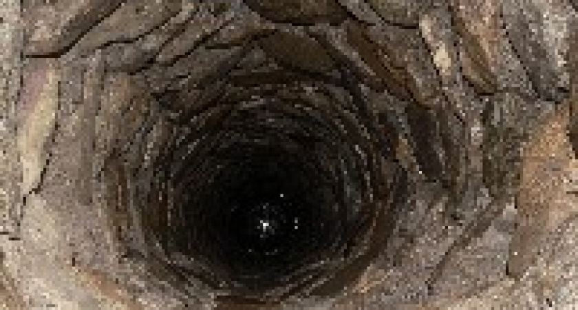 В Волгограде спасатели вызволили  собаку из глубокого колодца