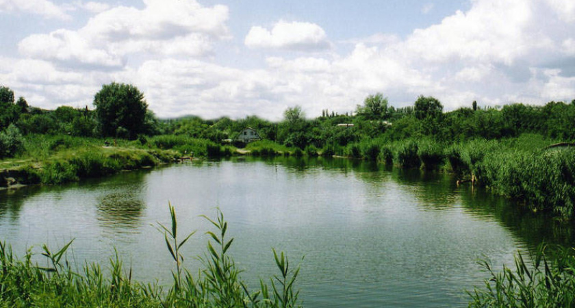 В пруду Волгограда нашли тело мужчины с гирей на шее