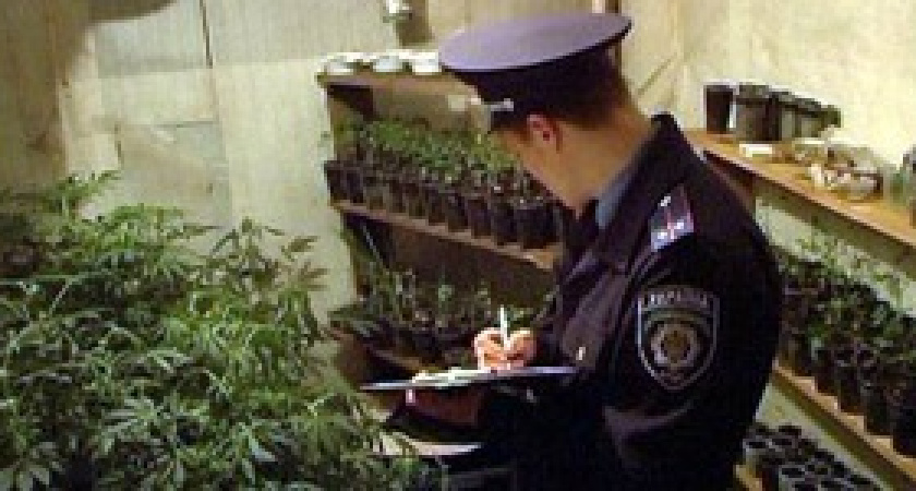 Под Волгоградом задержали пенсионерку-наркоманку 