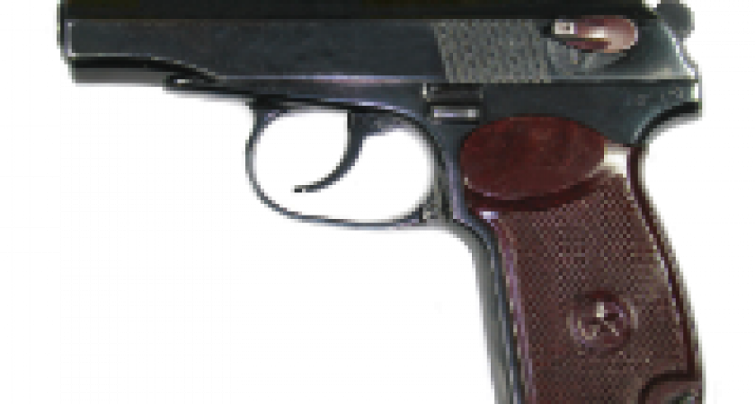 Волгоградца ранили из травматического пистолета в придорожном кафе