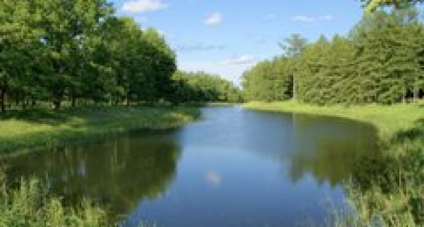 Под Волгоградом нашли тело 55-летней утопленницы