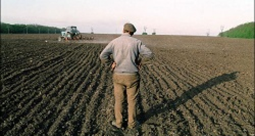 Народ убивают пальмовым маслом 