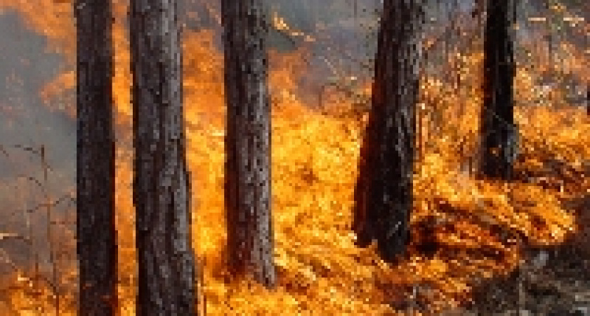 Главное — правильно посчитать