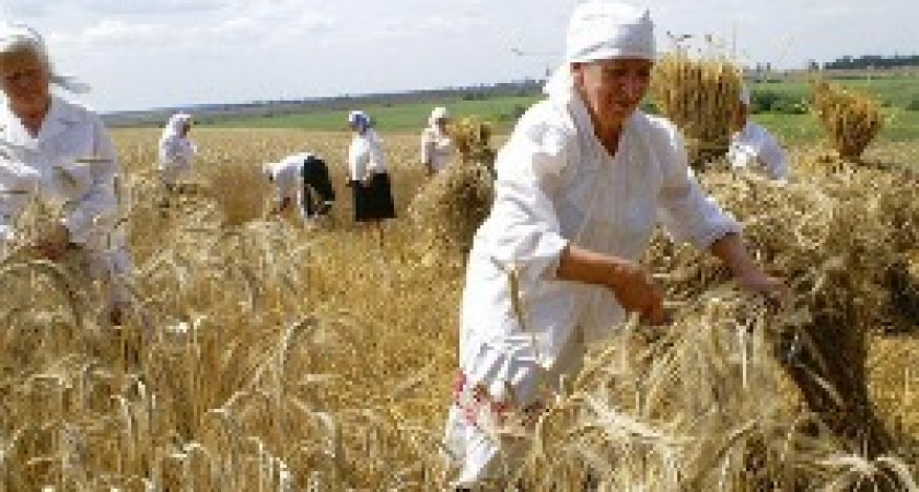 Прокопий Жнец