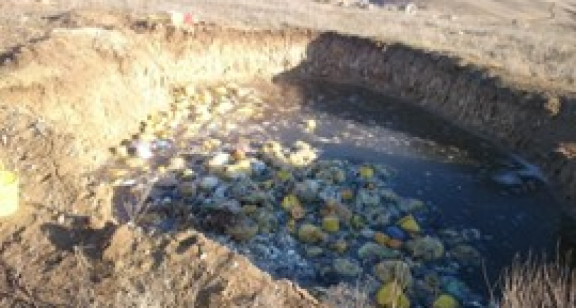 Под Волгоградом ликвидировали очередную крупную свалку