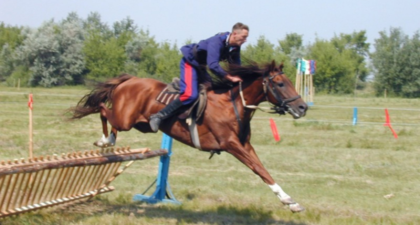 Волгоградские казаки стали чемпионами мира по джигитовке
