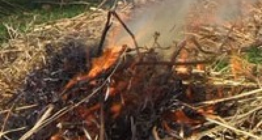 Под Волгоградом неизвестные подожгли 10 тонн сена