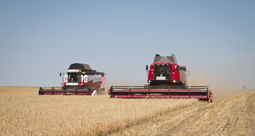 Волгоградские аграрии намолотили 2,79 миллиона тонн зерна