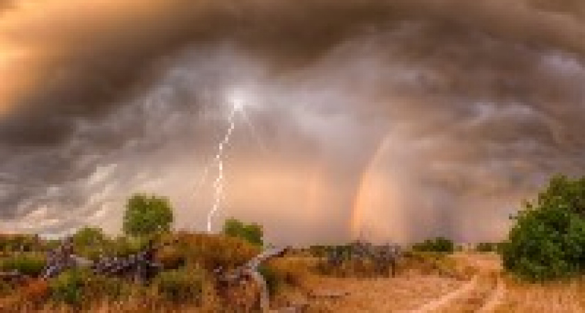 В Волгограде ожидаются грозы, ливни и град