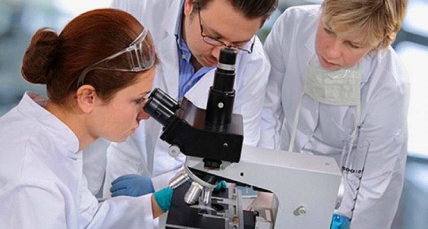 Учёные вымрут сами. От голода