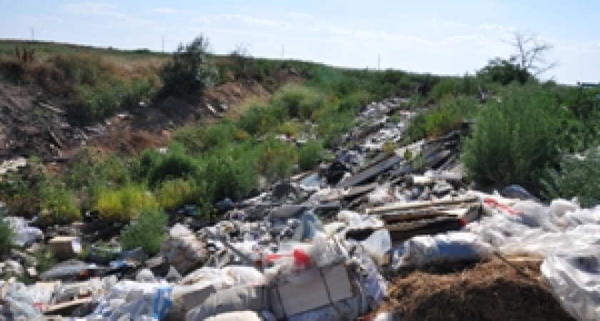 «Зеленый дозор» отправился в дозор по свалкам Волгограда