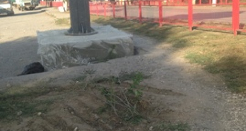 Цветок преткновения