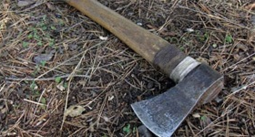 В Волгоградской области племянник ударил топором 61-летнего дядю