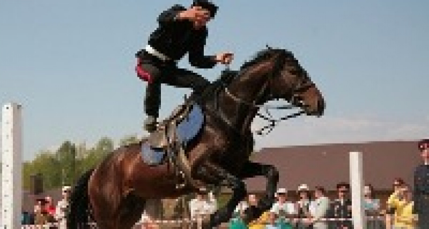 В Волгограде пройдет Второй открытый кубок по конному спорту