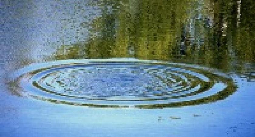 Под Волгоградом нетрезвый мужчина утонул на местном пляже