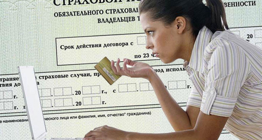 Волгоградцы не доверяют Интернет-ресурсам, продающим полиса ОСАГО