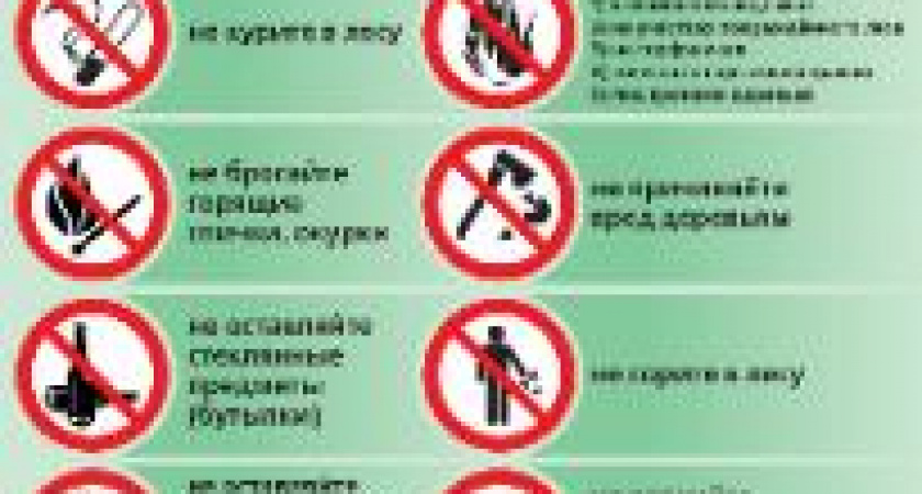 В Волгоградской области продлили ограничение на посещение лесов