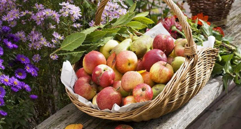 Яблочный Спас