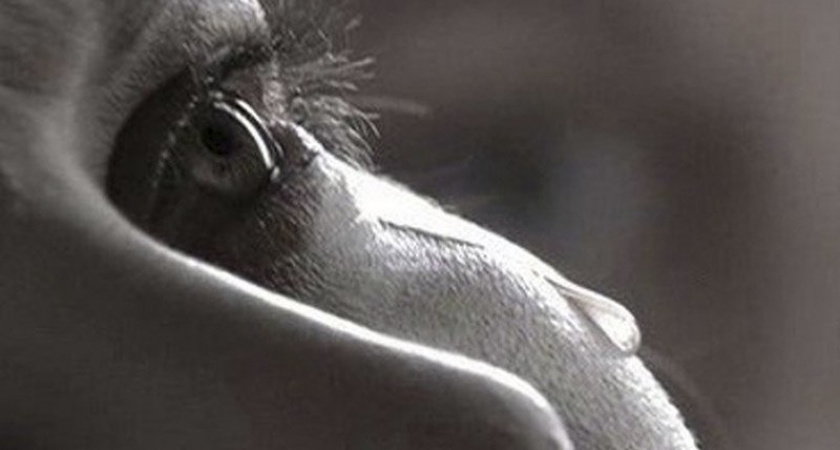 Под Волгоградом  из-за финансовых проблем молодая мама покончила с собой 