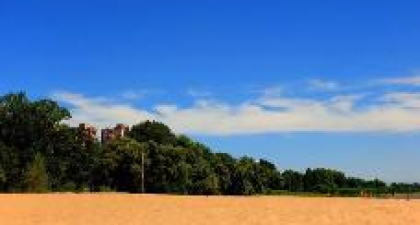 В Волгограде на пляже пройдет серфинг-шоу и танцевальный флешмоб