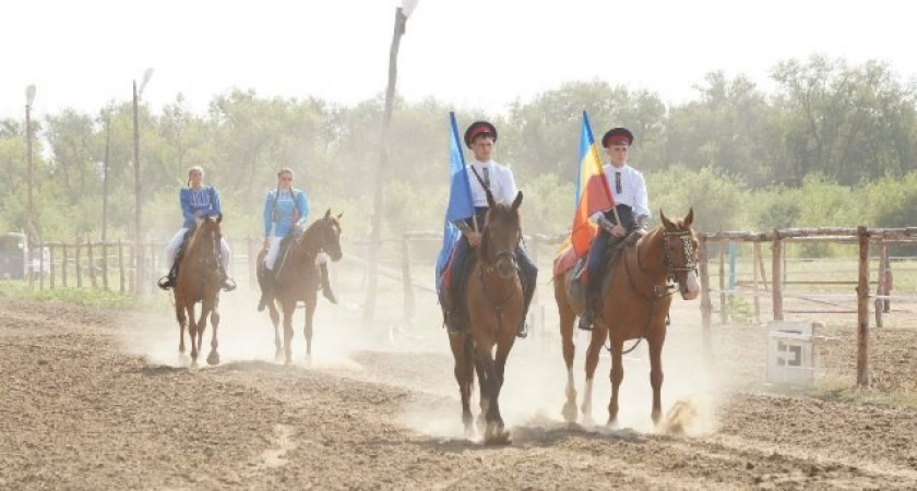 В Волгограде пройдут конноспортивные игры на кубок Губернатора