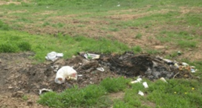 Под Волгоградом появилась очередная помойка