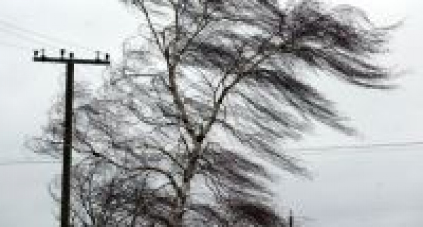 В Волгограде ожидается сильный ветер