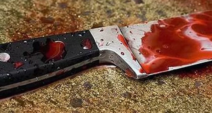 В посёлке Быково под Волгоградом в частном доме обнаружено три трупа