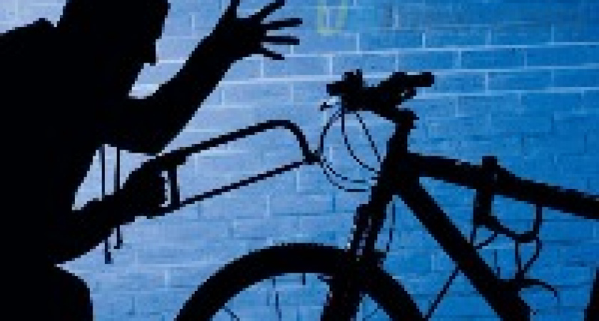 Под Волгоградом полицейские задержали серийных велосипедных воров