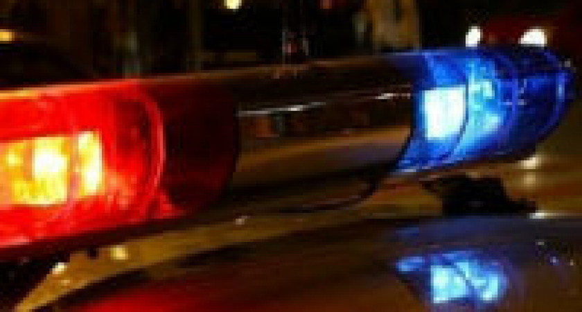 В Волгограде автоледи задержали за мошенничество со страховкой 