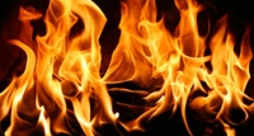 В Волгоградской области сгорели два авто одной модели