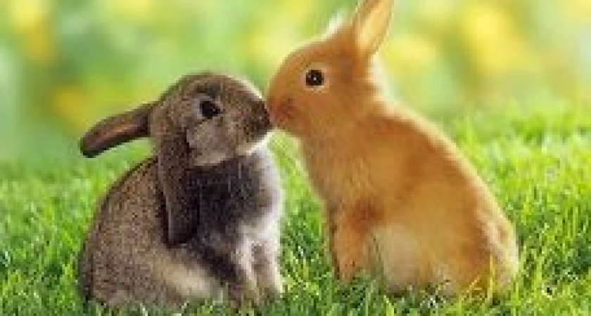 Под Волгоградом вор украл снаряжение из разобранного гаража 