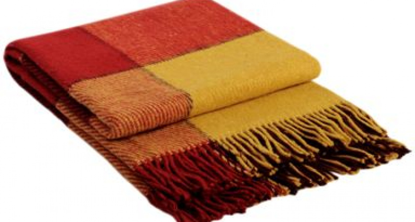 Волгоградская областная Дума  закупит пледы на 280 тысяч рублей