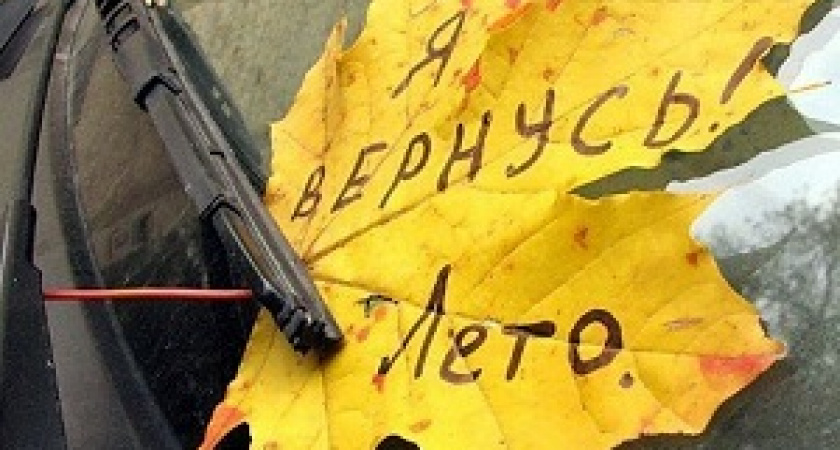 В Волгоград пришло бабье лето